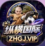 纵横国际